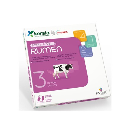 Bolus Rumen 12st/frp. 