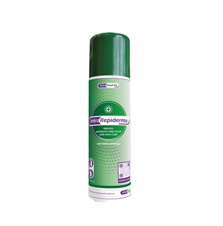 Srspray Repiderma 250 ml 