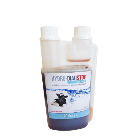 Hydro-Diarstop GS 500 ml 