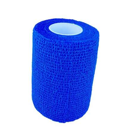 GS PRO Bandage 9 cm x 6 m 12st/fp