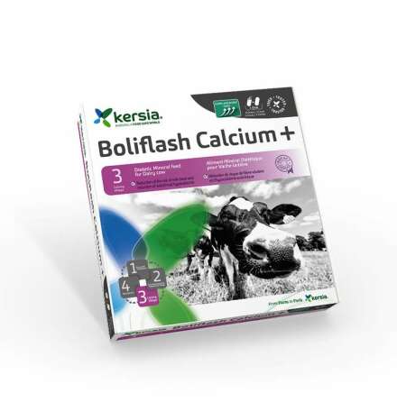 Boliflash Calcium + 12st/frp. (10 frp/krt)