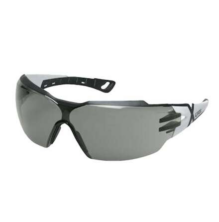 Skyddsglas�gon Pheos CX2 