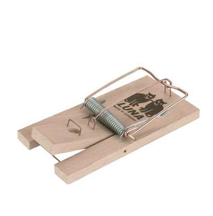 R�ttf�lla slag Luna