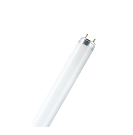 Lysr�r 40W till insektsf�ngare 308A/S